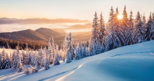 MEILLEURS VŒUX POUR 2022